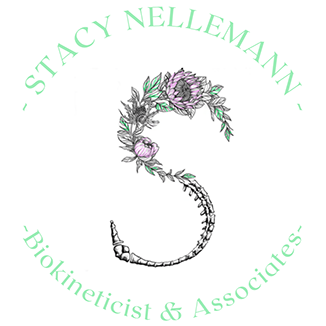 Nellemann logo bg white Stacy Nellemann Biokineticist & Associates logo
